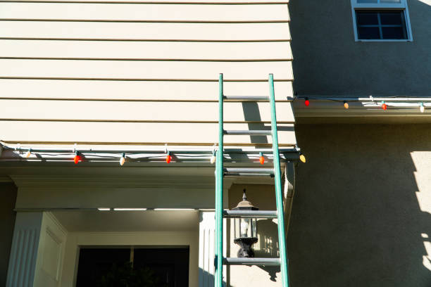 Best Siding Painting and Refinishing  in Shawsville, VA