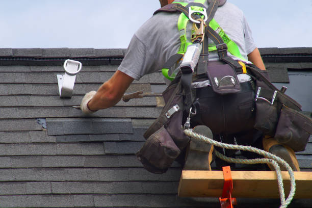 Best Fascia and Soffit Installation  in Shawsville, VA