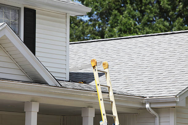 Best Weatherproofing and Sealing  in Shawsville, VA